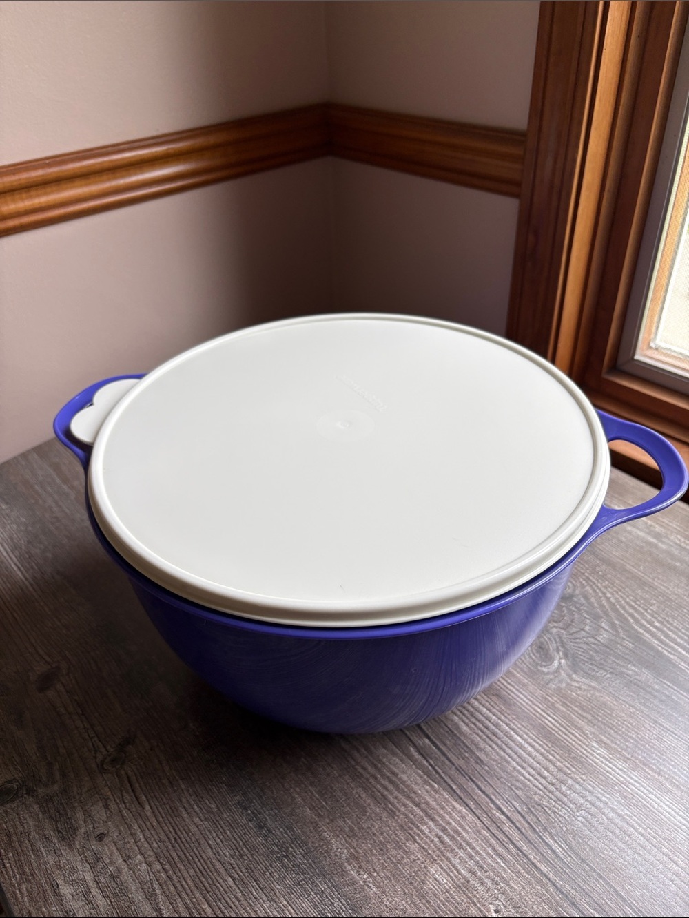 NEW LISTING Tupperware Thatsa Mega Bowl with White Lid and thumb loop handles